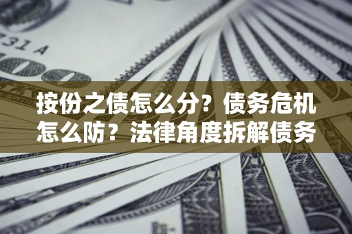 武汉按份之债怎么分？债务危机怎么防？法律角度拆解债务分配与风险自保指南