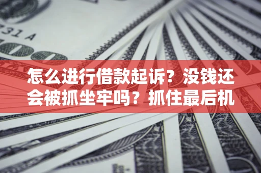 武汉怎么进行借款起诉？没钱还会被抓坐牢吗？抓住最后机会！