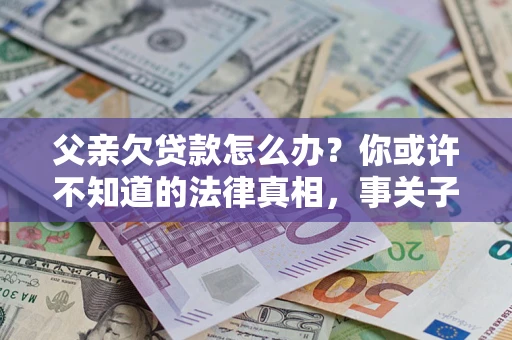 武汉父亲欠贷款怎么办？你或许不知道的法律真相，事关子女未来