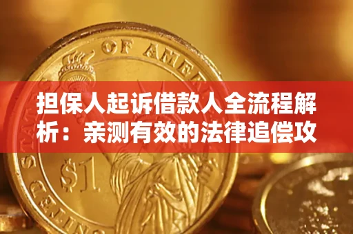 武汉担保人起诉借款人全流程解析：亲测有效的法律追偿攻略