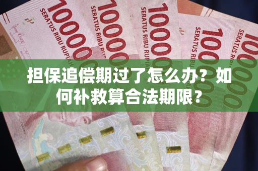 武汉担保追偿期过了怎么办？如何补救算合法期限？