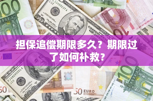 武汉担保追偿期限多久？期限过了如何补救？