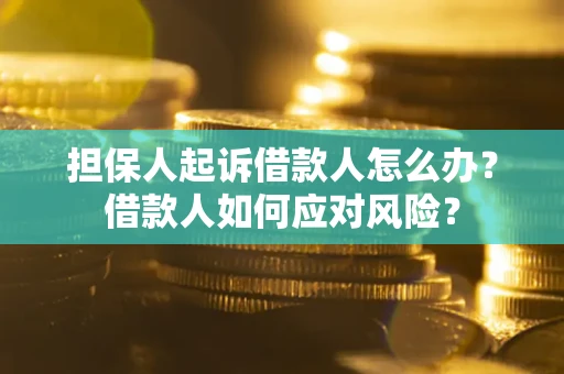 武汉担保人起诉借款人怎么办？借款人如何应对风险？