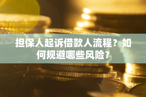 武汉担保人起诉借款人流程？如何规避哪些风险？