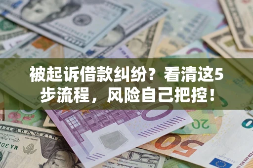 武汉被起诉借款纠纷？看清这5步流程，风险自己把控！