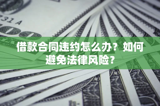 武汉借款合同违约怎么办？如何避免法律风险？