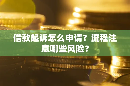 武汉借款起诉怎么申请？流程注意哪些风险？