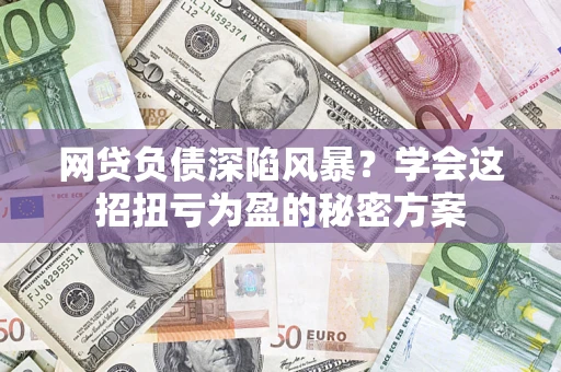 武汉网贷负债深陷风暴？学会这招扭亏为盈的秘密方案